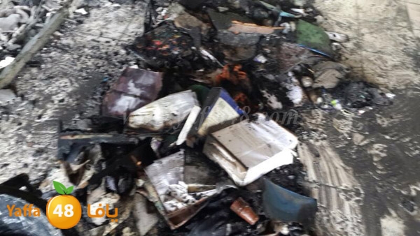 zahrat afra7 lud 0516 (4).JPG